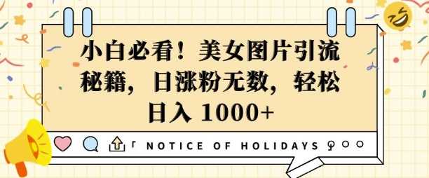 小白必看，美女图片引流秘籍，日涨粉无数，轻松日入几张【揭秘】-耐玩网创