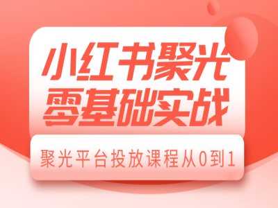 小红书聚光零基础实战，聚光平台投放课程从0到1-耐玩网创