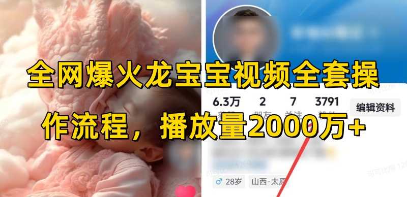 全网爆火龙宝宝视频全套操作流程，播放量2000万+-耐玩网创
