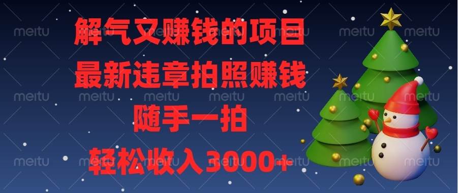 （13804期）解气又赚钱的项目，最新违章拍照赚钱，随手一拍，轻松收入3000+-耐玩网创