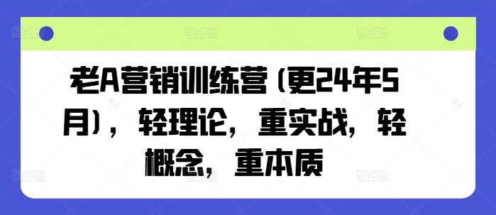 老A营销训练营(更24年12月)，轻理论，重实战，轻概念，重本质-耐玩网创