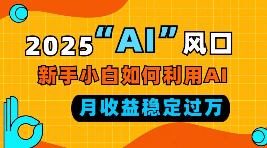 （13821期）2025“ AI ”风口，新手小白如何利用ai，每月收益稳定过万-耐玩网创