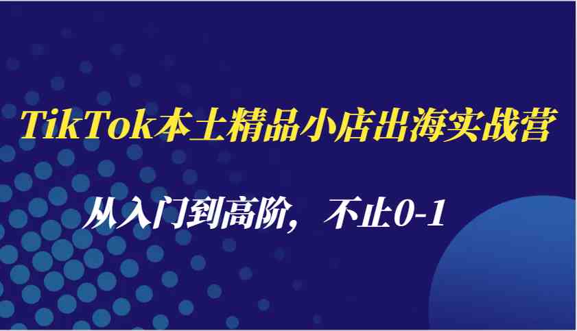 TikTok本土精品小店出海实战营，从入门到高阶，不止0-1-耐玩网创