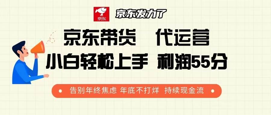 （13833期）京东带货 代运营 利润55分 告别年终焦虑 年底不打烊 持续现金流-耐玩网创