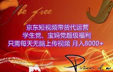 京东短视频带货代运营，学生党、宝妈党超级福利，只需每天无脑上传视频，月入8000+【仅揭秘】-耐玩网创