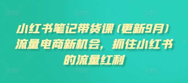 小红书笔记带货课(更新12月)流量电商新机会，抓住小红书的流量红利-耐玩网创