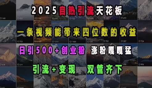 2025自热引流天花板，一条视频能带来四位数的收益，引流+变现双管齐下，日引500+创业粉，涨粉嘎嘎猛-耐玩网创