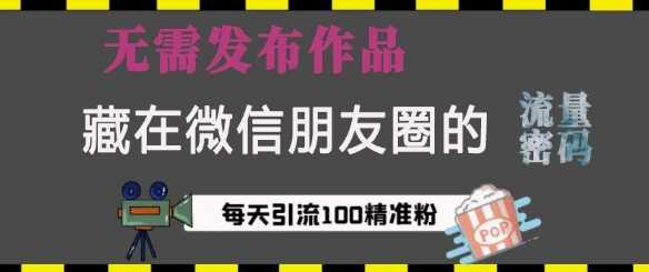 藏在微信朋友圈的流量密码，无需发布作品，单日引流100+精准创业粉【揭秘】-耐玩网创
