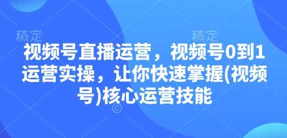 视频号直播运营，视频号0到1运营实操，让你快速掌握(视频号)核心运营技能-耐玩网创