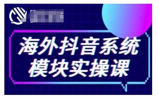 海外抖音Tiktok系统模块实操课，TK短视频带货，TK直播带货，TK小店端实操等-耐玩网创
