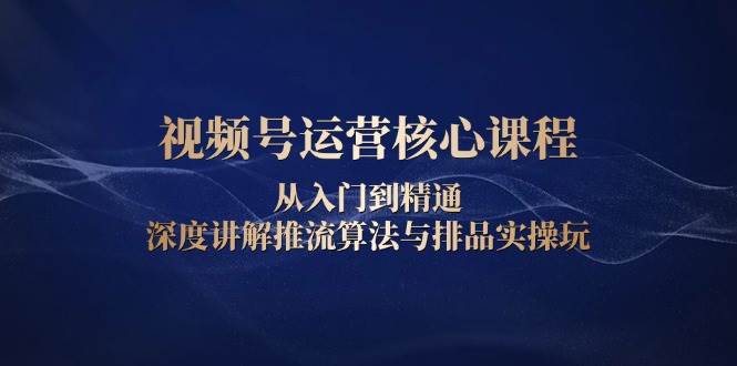 （13863期）视频号运营核心课程，从入门到精通，深度讲解推流算法与排品实操玩-耐玩网创