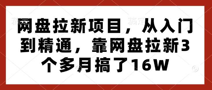 网盘拉新项目，从入门到精通，靠网盘拉新3个多月搞了16W-耐玩网创