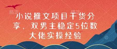 小说推文项目干货分享，双男主稳定5位数大佬实操经验-耐玩网创