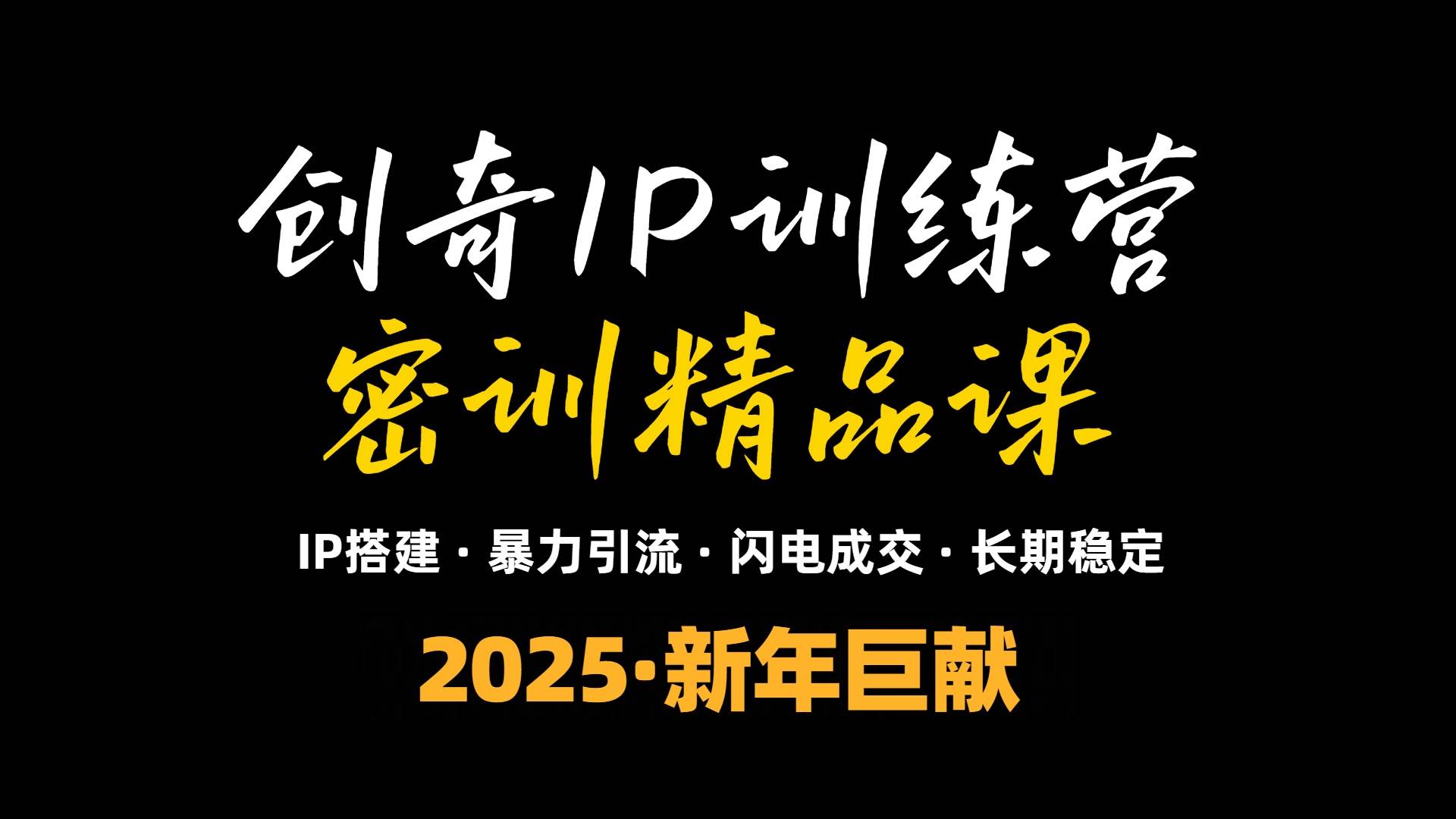 （13898期）2025年“知识付费IP训练营”小白避坑年赚百万，暴力引流，闪电成交-耐玩网创