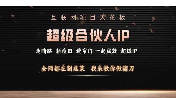 互联网项目天花板，超级合伙人IP，全网都在割韭菜，我来教你做镰刀【仅揭秘】-耐玩网创