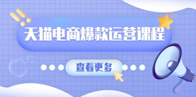 （13910期）天猫电商爆款运营课程，爆款卖点提炼与流量实操，多套模型全面学习-耐玩网创