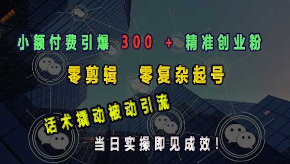 小额付费引爆 300 + 精准创业粉，零剪辑、零复杂起号，话术撬动被动引流，当日实操即见成效-耐玩网创