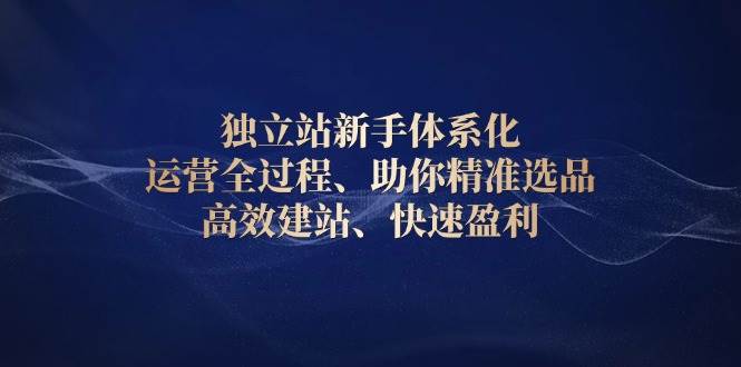 （13914期）独立站新手体系化 运营全过程，助你精准选品、高效建站、快速盈利-耐玩网创