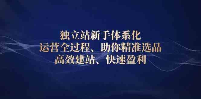 独立站新手体系化 运营全过程，助你精准选品、高效建站、快速盈利-耐玩网创