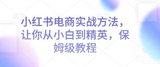 小红书电商实战方法，让你从小白到精英，保姆级教程-耐玩网创