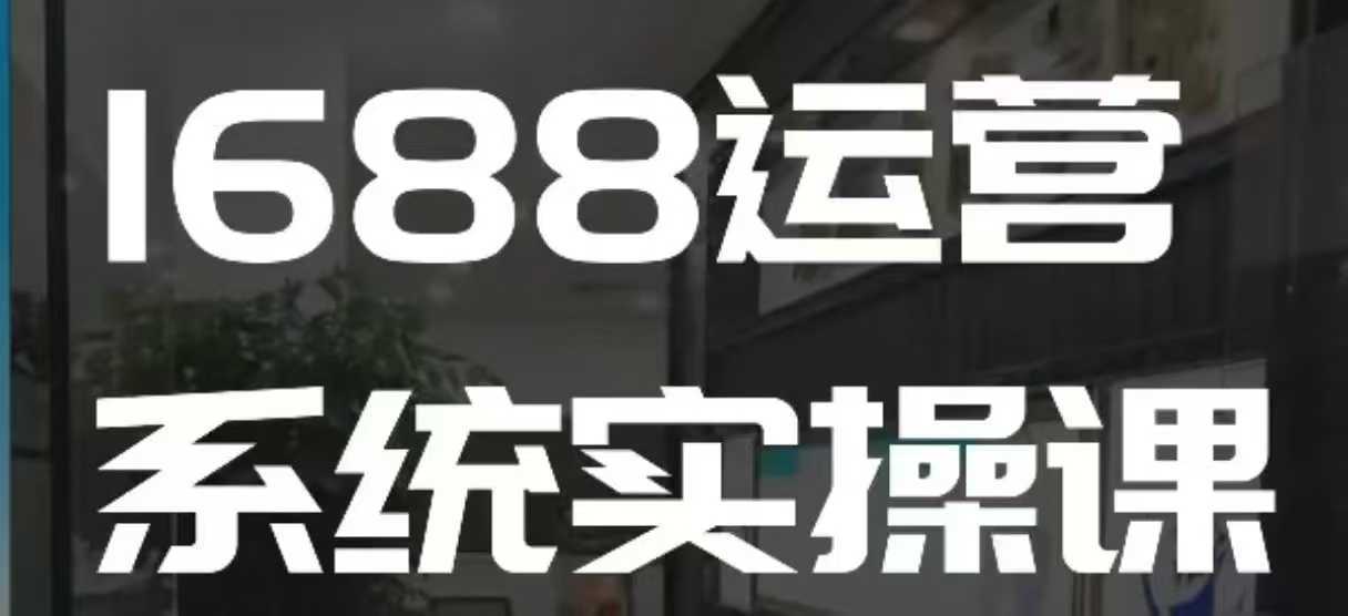1688高阶运营系统实操课，快速掌握1688店铺运营的核心玩法-耐玩网创