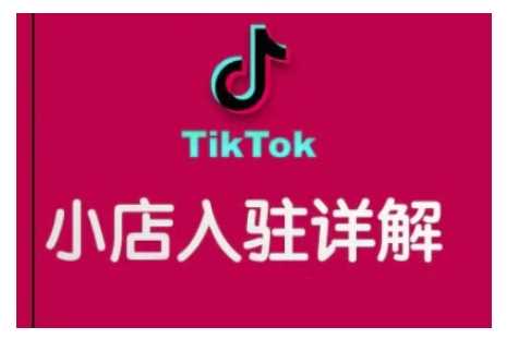 TikTok跨境小店运营全攻略，帮助你独立运营TK跨境小店的能力，实现销量增长-耐玩网创