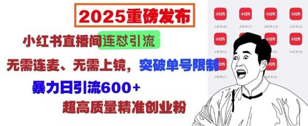 2025重磅发布：小红书直播间连怼引流，无需连麦、无需上镜，突破单号限制，暴力日引流600+-耐玩网创