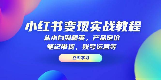小红书变现实战教程：从小白到精英，产品定价，笔记带货，账号运营等-耐玩网创