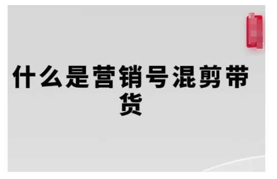 营销号混剪带货，从内容创作到流量变现的全流程，教你用营销号形式做混剪带货-耐玩网创