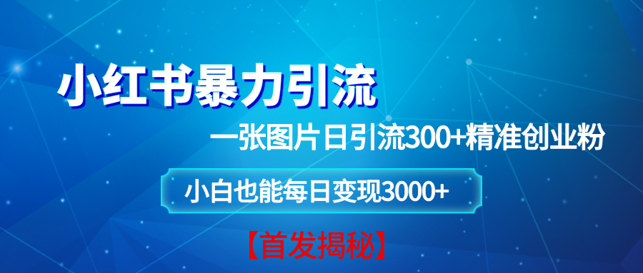 （13935期）小红书暴力引流法，一张图片日引 300+精准创业粉，每日稳定变现 3000+【揭秘】-耐玩网创
