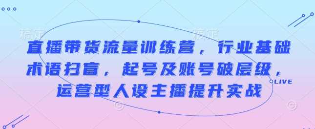 直播带货流量训练营，行业基础术语扫盲，起号及账号破层级，运营型人设主播提升实战-耐玩网创
