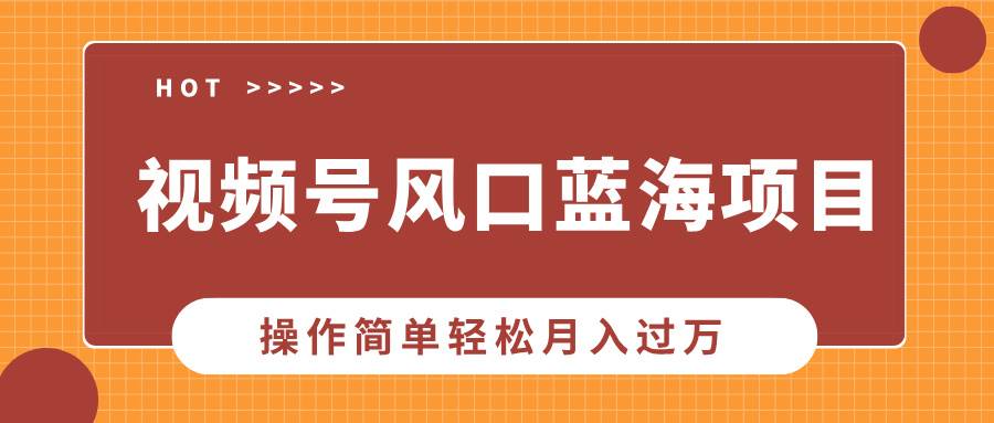 （13945期）视频号风口蓝海项目，中老年人的流量密码，操作简单轻松月入过万-耐玩网创
