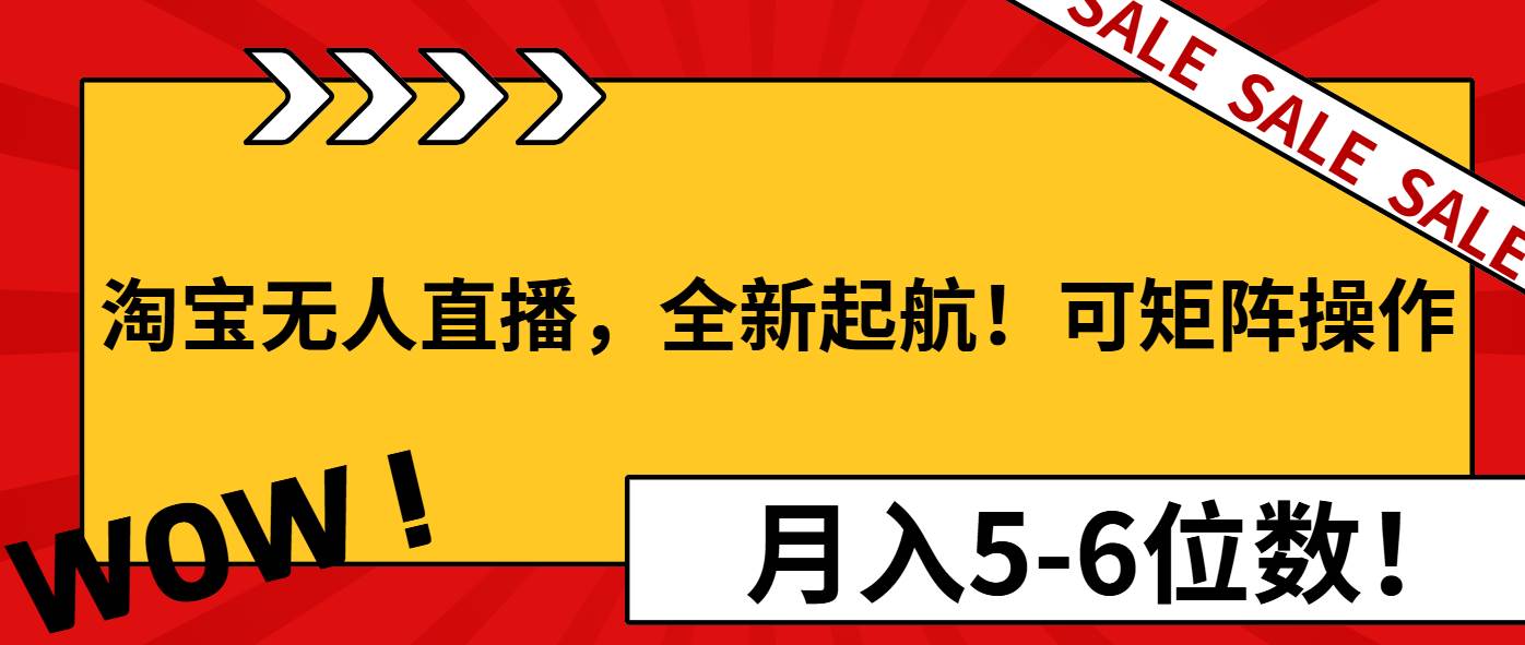 （13946期）淘宝无人直播，全新起航！可矩阵操作，月入5-6位数！-耐玩网创