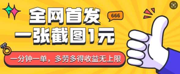 全网首发，一张截图1块钱，一分钟一单，多劳多得，收益无上限-耐玩网创