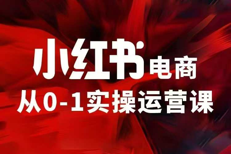 小红书电商运营，97节小红书vip内部课，带你实现小红书赚钱-耐玩网创