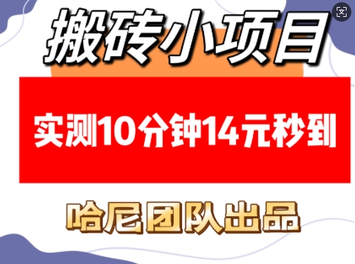 搬砖小项目，实测10分钟14元秒到，每天稳定几张(赠送必看稳定)-耐玩网创