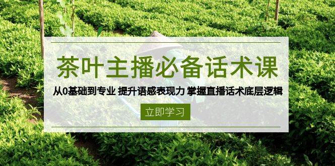 茶叶主播必备话术课 从0基础到专业 提升语感表现力 掌握直播话术底层逻辑-耐玩网创