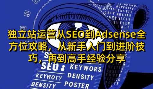 独立站运营从SEO到Adsense全方位攻略，从新手入门到进阶技巧，再到高手经验分享-耐玩网创