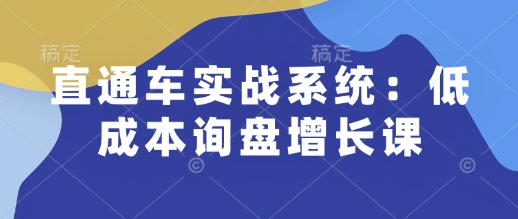 直通车实战系统：低成本询盘增长课，让个人通过技能实现升职加薪，让企业低成本获客，订单源源不断-耐玩网创