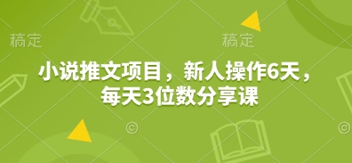 小说推文项目，新人操作6天，每天3位数分享课-耐玩网创