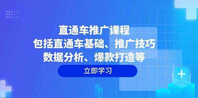 （14001期）直通车推广课程：包括直通车基础、推广技巧、数据分析、爆款打造等-耐玩网创