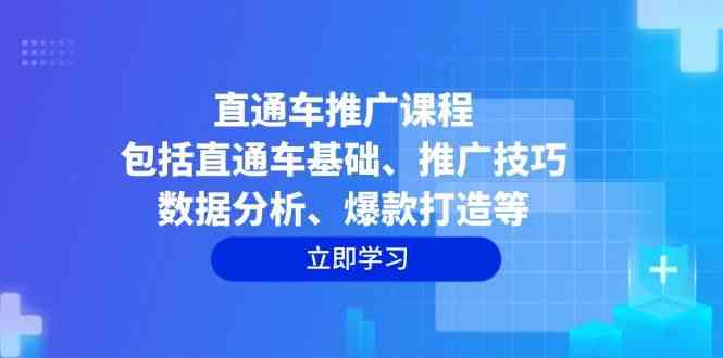 直通车推广课程：包括直通车基础、推广技巧、数据分析、爆款打造等-耐玩网创