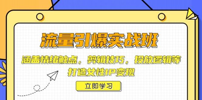 （14008期）流量引爆实战班，涵盖情绪触点，剪辑技巧，投放逻辑等，打造女性IP变现-耐玩网创
