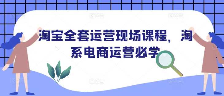 淘宝全套运营现场课程，淘系电商运营必学-耐玩网创