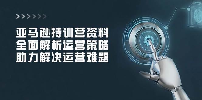 （14033期）亚马逊持训营资料，全面解析运营策略，助力解决运营难题-耐玩网创