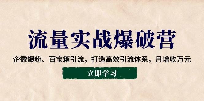 （14039期）流量实战爆破营：企微爆粉、百宝箱引流，打造高效引流体系，月增收万元-耐玩网创