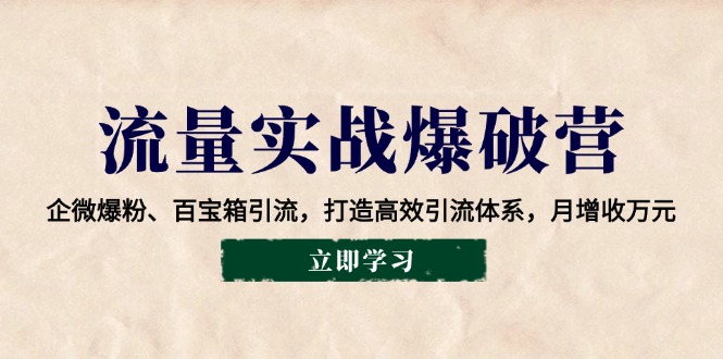 流量实战爆破营：企微爆粉、百宝箱引流，打造高效引流体系，月增收万元-耐玩网创
