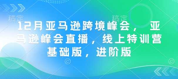 12月亚马逊跨境峰会， 亚马逊峰会直播，线上特训营基础版，进阶版-耐玩网创