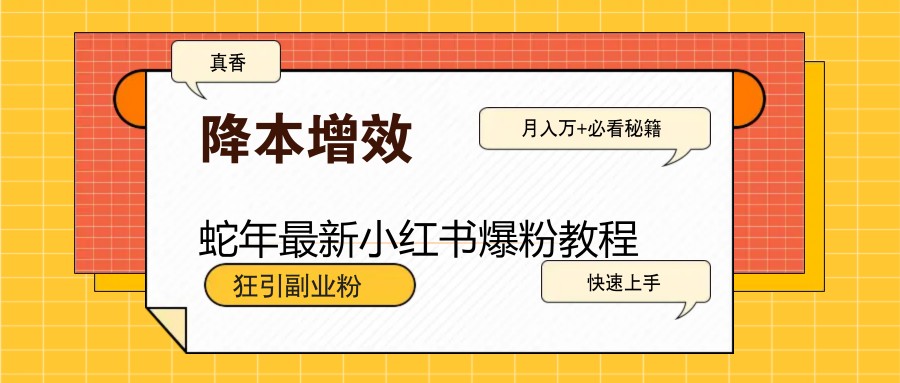 蛇年最新小红书爆粉教程，狂引副业粉，月入万+必看-耐玩网创