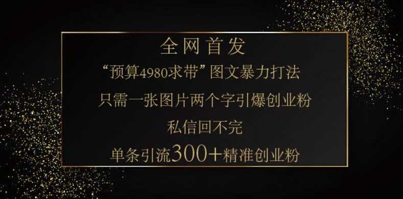 小红书神奇图片引流法，只需一张图，就能单条笔记凭借此方法，轻松引流 300 + 精准创业粉-耐玩网创